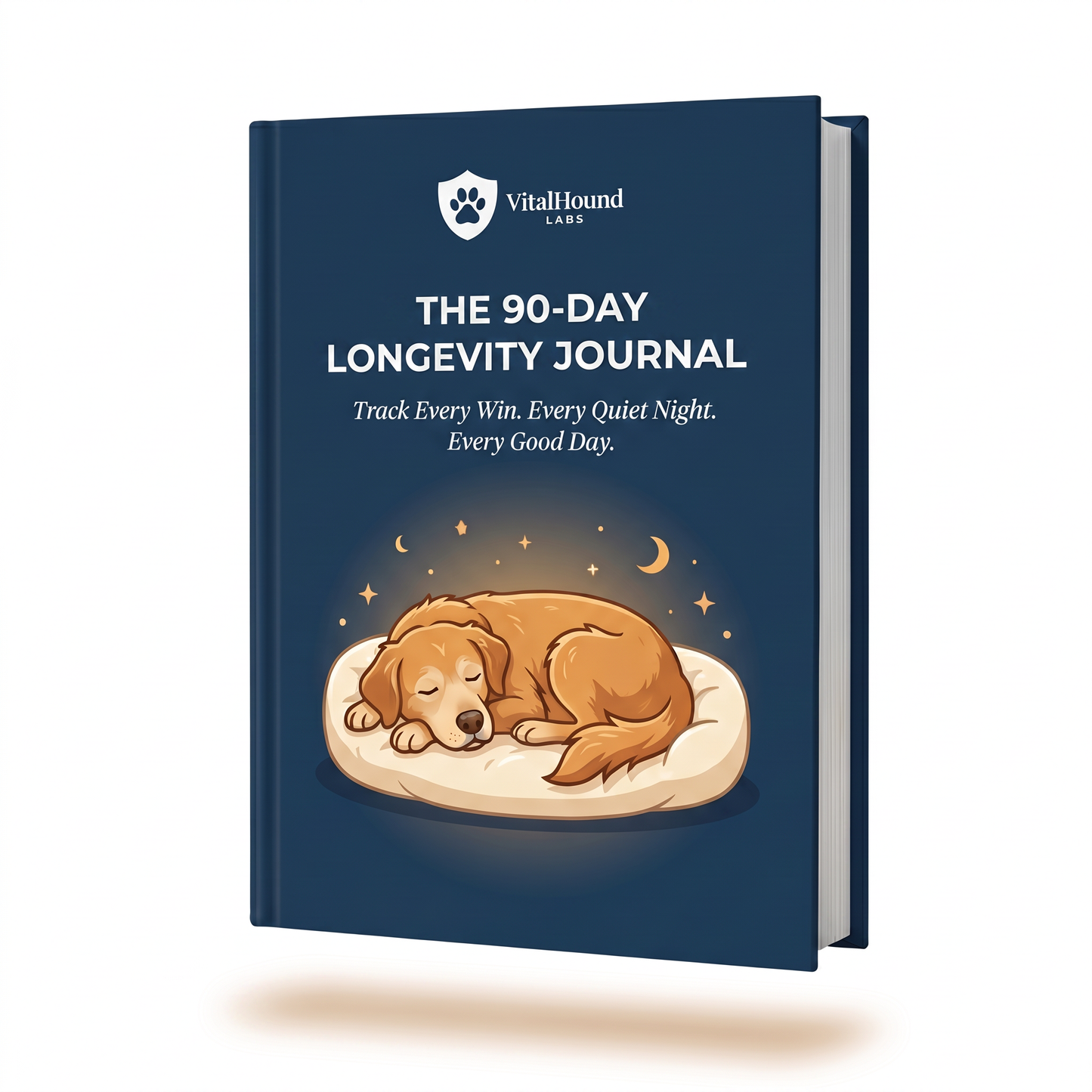 The 90-Day Longevity Journal