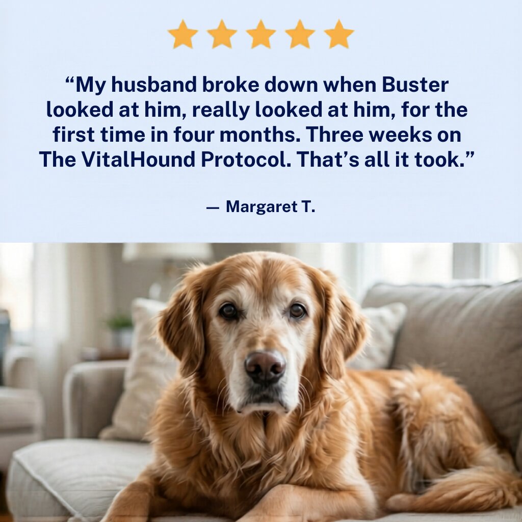 The VitalHound Protocol