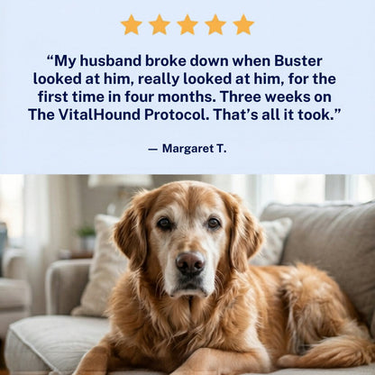 The VitalHound Protocol
