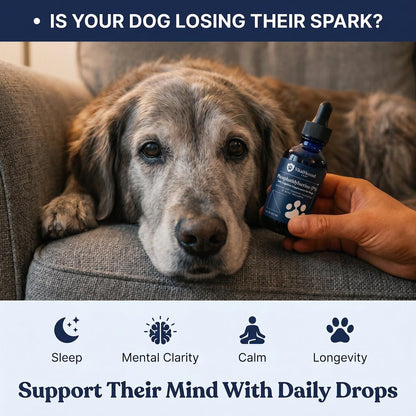 The VitalHound Protocol