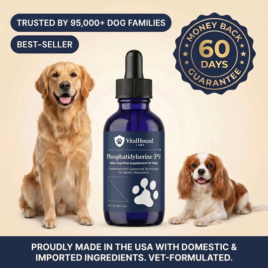 The VitalHound Protocol